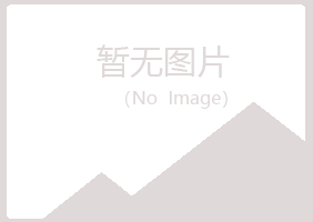 太子河区夏青能源有限公司